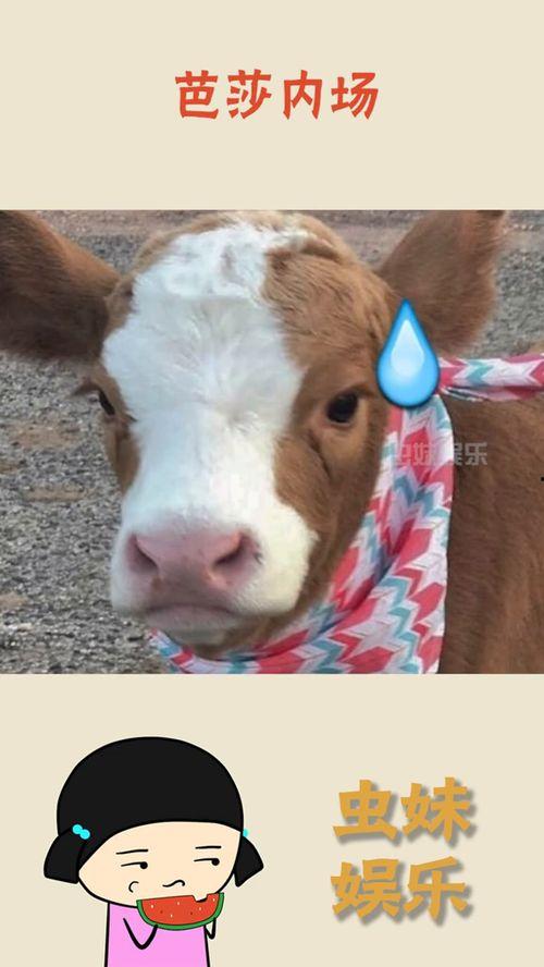 娱乐吃瓜酱飞鸟,揭秘娱乐圈那些不为人知的幕后故事 第2张 娱乐吃瓜酱飞鸟,揭秘娱乐圈那些不为人知的幕后故事 第2张